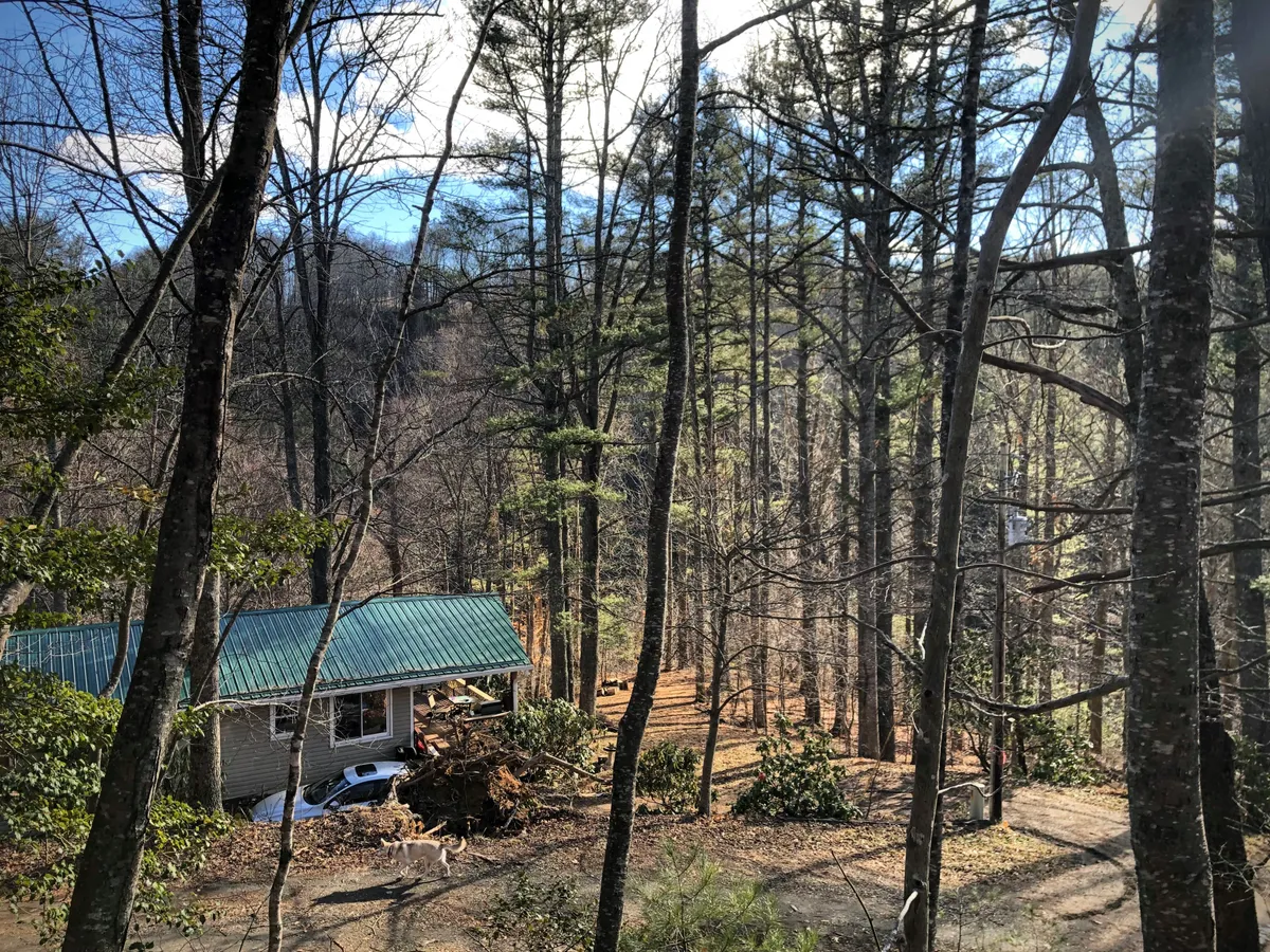 The house with its distinctive green metal roof is nestled among mature trees, with a cleared area that suggests proximity to the woods and hiking opportunities. The setting is quiet and peaceful, ideal for relaxing after a day of adventure.