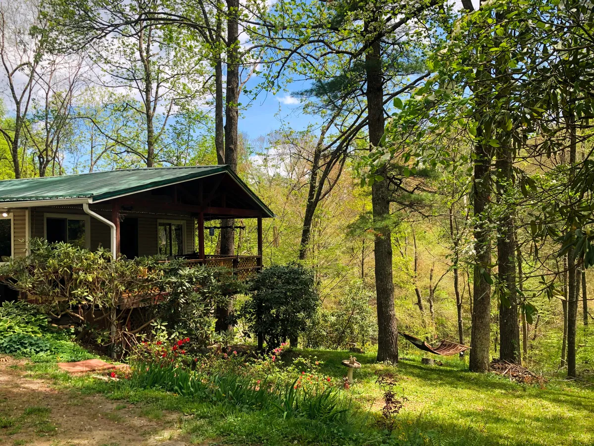 A charming cabin nestled among tall trees, featuring a hammock strung between posts near a vibrant flower garden. The cabin's inviting porch is visible, hinting at comfortable seating for morning coffee or leisurely afternoons spent reading. Sunlight bathes the area, enhancing the tranquil, nature-connected atmosphere.