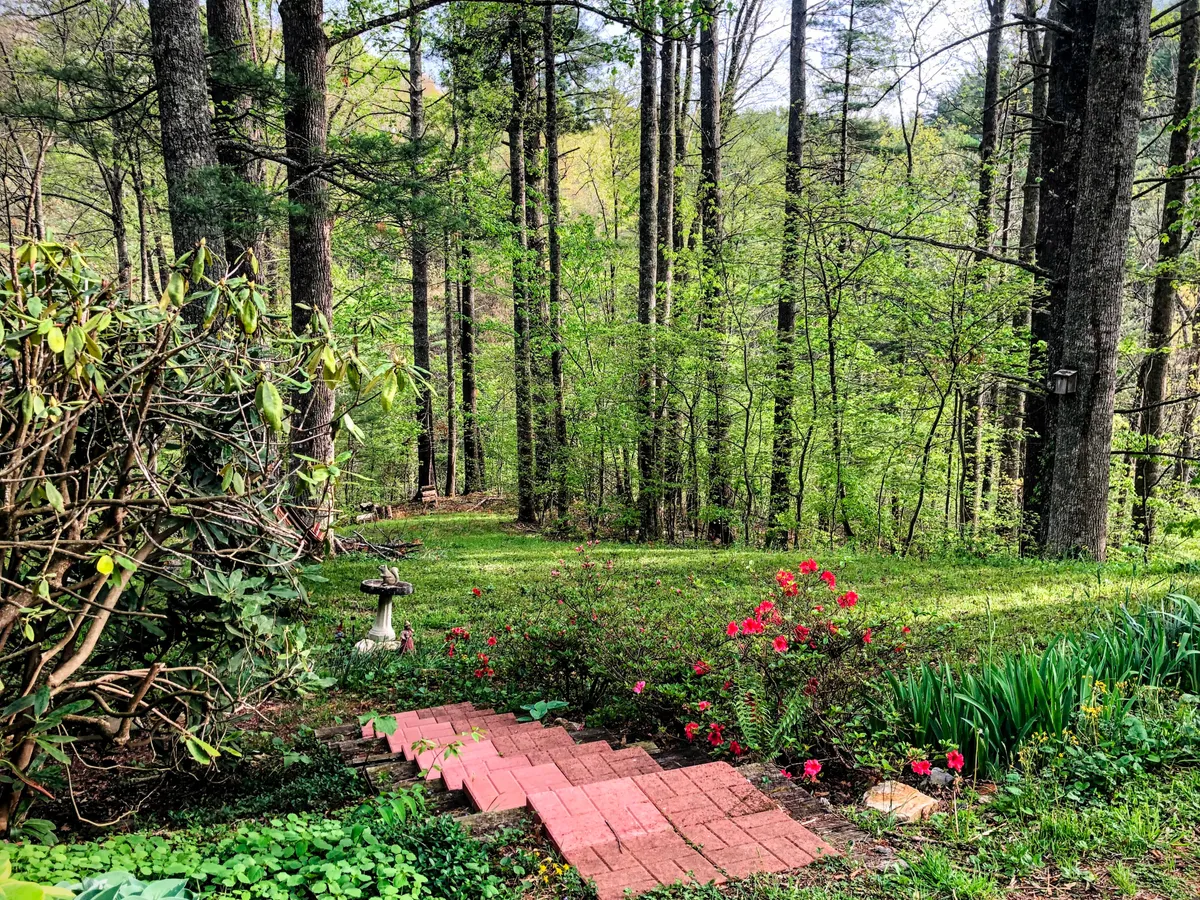 A peaceful garden scene with a flowerbed filled with vibrant red flowers, a garden path, and a birdbath. The area is lush and green, evoking a restful, romantic spot for a picnic or a quiet moment in nature. Wildlife sightings and natural beauty are evident.
