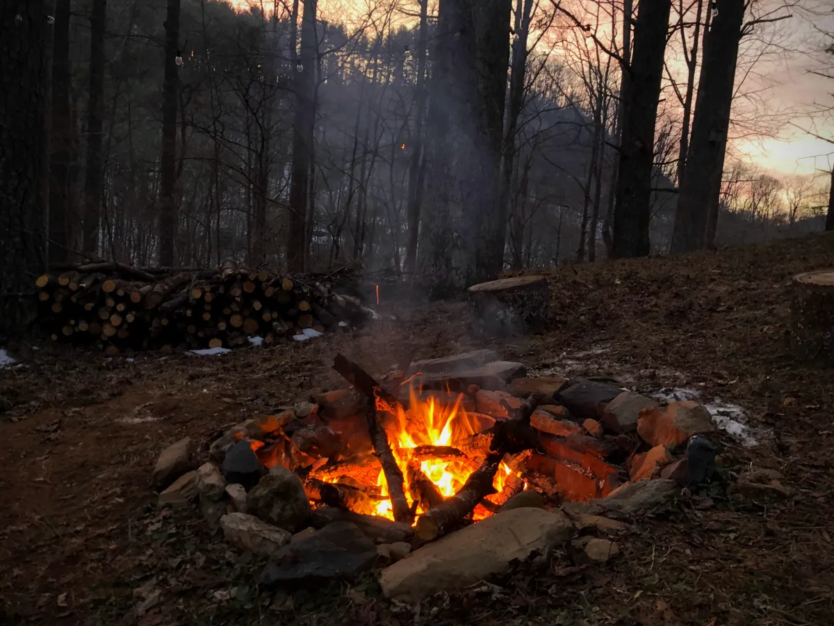 An inviting outdoor fire pit surrounded by natural logs, nestled amid tall trees that create a secluded woodland atmosphere. The fire pit area is softly illuminated, perfect for gathering, storytelling, and stargazing late into the night.